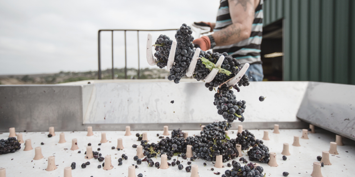 wina hiszpańskie z Jumilla - Fine Wine
