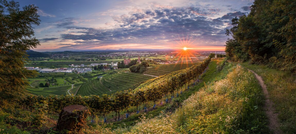 Badenia – niemiecka kraina pełna słońca. Poznaj bliżej wino z Baden