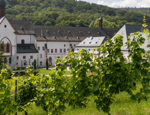 Kloster Eberbach – wina z historią w tle