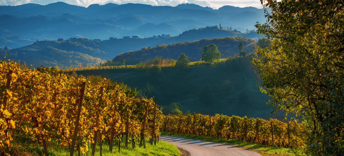 Hipnotyzująca Austria