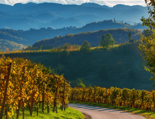 Hipnotyzująca Austria