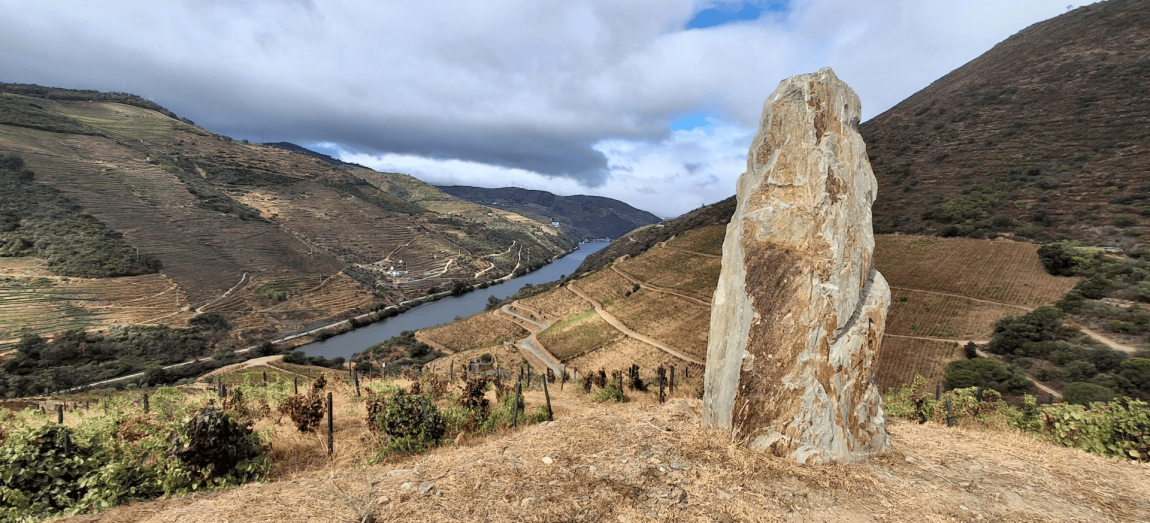 Regiony enoturystyczne