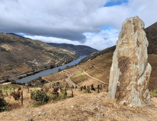 Regiony enoturystyczne